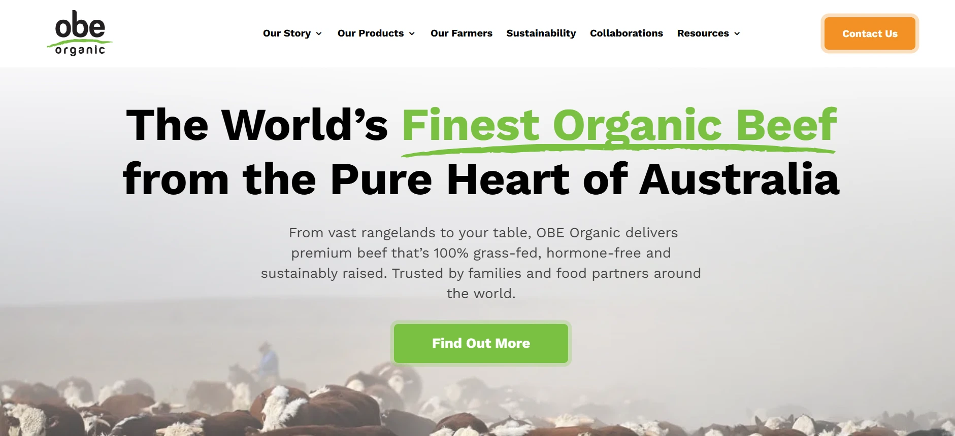 WordPress website screenshot 10