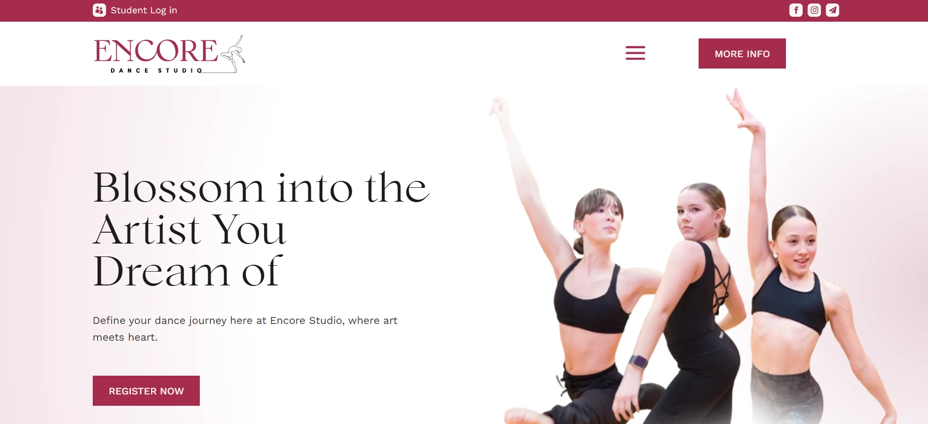 WordPress website screenshot 6